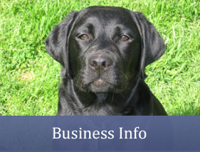 Business Info - Dog Trainer