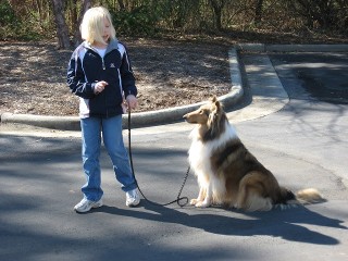 Small Dog - Dog Obedience Training